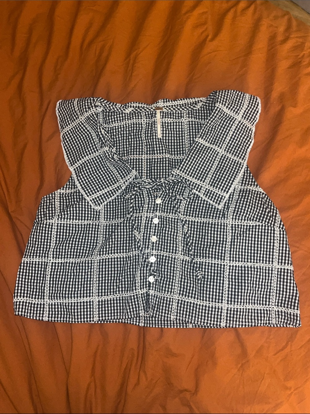 Free People Blue and White Gingham Button Front Cropped Top with Collar